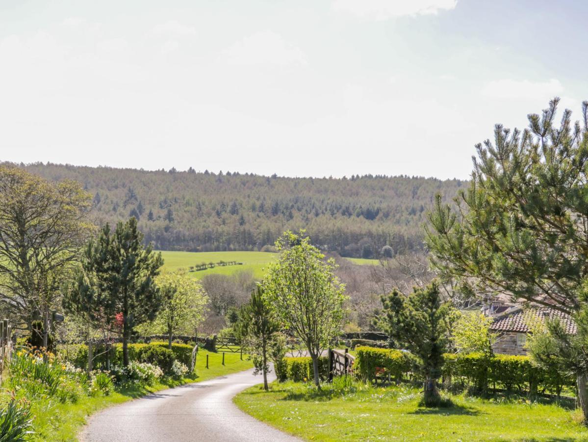 Honey Bee Cottage Скарборо Экстерьер фото